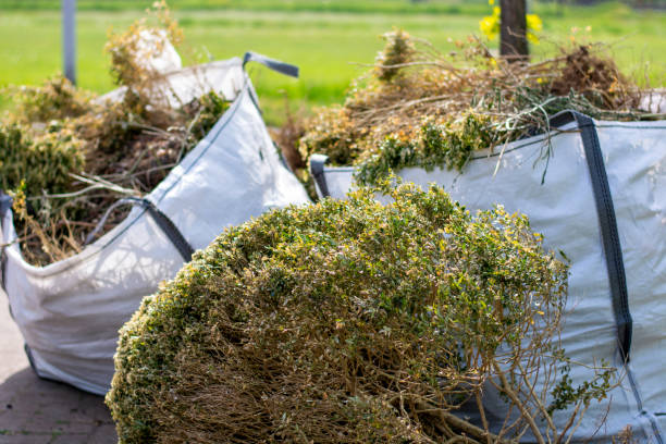 Best Basement Cleanout Services  in La Habra Heights, CA